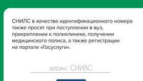 Что значит СНИЛС в Госуслугах в Аптеки Столички