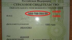 Индивидуальный страховой счет: что это в Аптеки Столички
