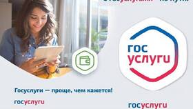Как оформить выплату малоимущим через Госуслуги в Аптеки Столички