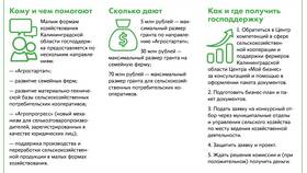 Как получить субсидию на развитие сельского хозяйства в Аптеки Столички