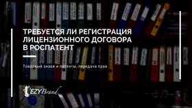 Лицензионный договор: чем отличается в Аптеки Столички