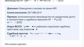 Почему Госуслуги не показывают исполнительные производства в Аптеки Столички