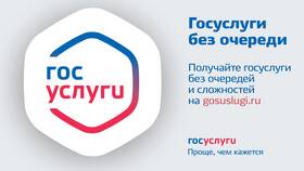 Почему услуга может быть недоступна на портале Госуслуги в Аптеки Столички