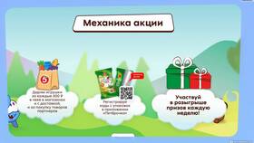Программа лояльности 
